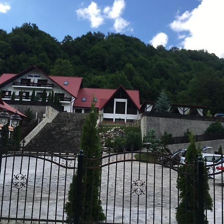 Casa Albert Hotel Lepşa Buitenkant foto