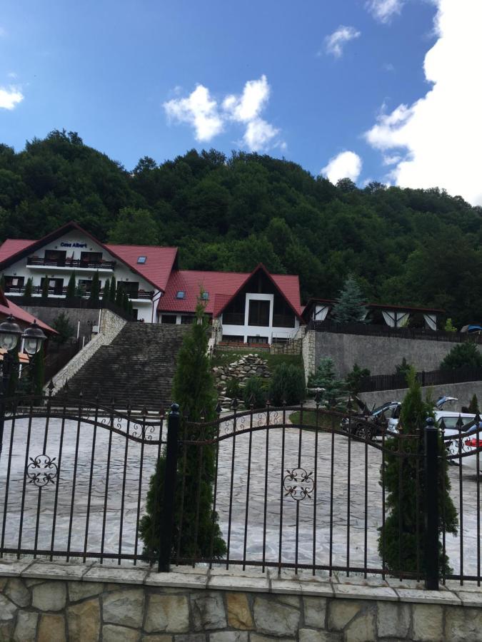 Casa Albert Hotel Lepşa Buitenkant foto