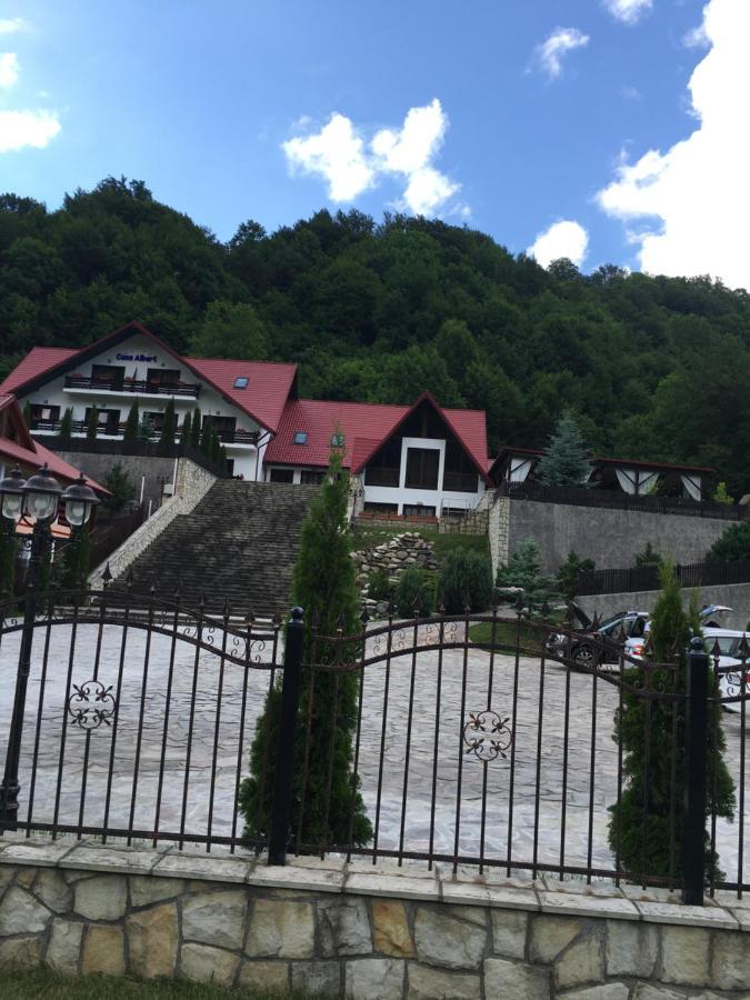 Casa Albert Hotel Lepşa Buitenkant foto